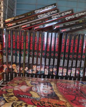 demon Slayer 1 al 20