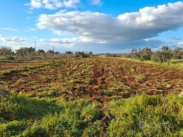 Terreno Agricolo agro di Copertino
