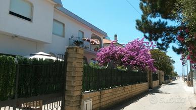 Ascea in villa sul mare 5 posti letto