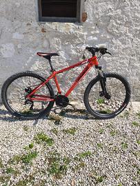 Bici da ragazzo/a