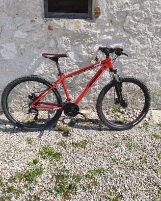 Bici da ragazzo/a