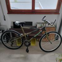 bici mtb Bianchi Thomisus ragno