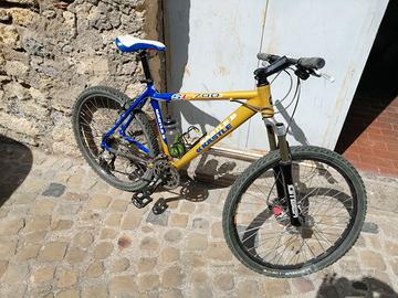 MTB Whistle