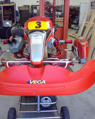 Go kart 100cc pronto pista