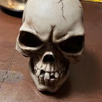 Teschio in resina