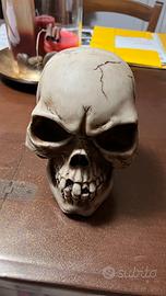 Teschio in resina