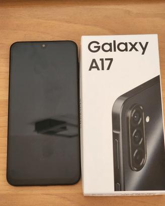Samsung A175F/DSB Galaxy A17