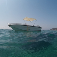 Barca 5mt motore 40cv carrello pronti all'uso