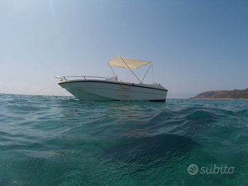 Barca 5mt motore 40cv carrello pronti all'uso