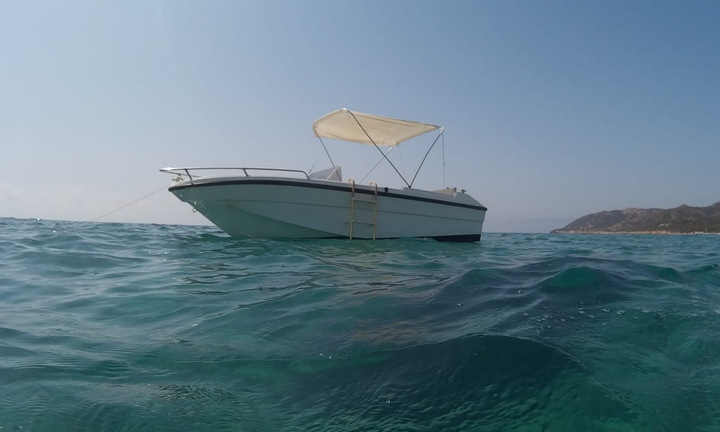 Barca 5mt motore 40cv carrello pronti all'uso