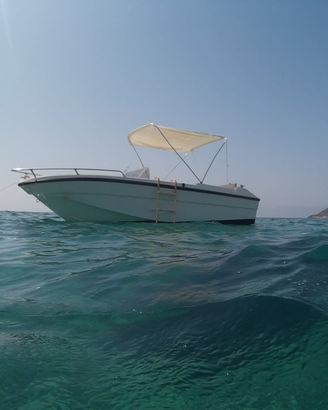 Barca 5mt motore 40cv carrello pronti all'uso