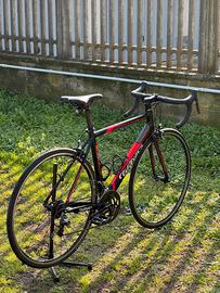 WILIER TRIESTINA