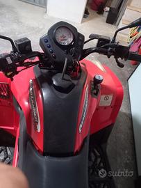 Quad sym lander 300