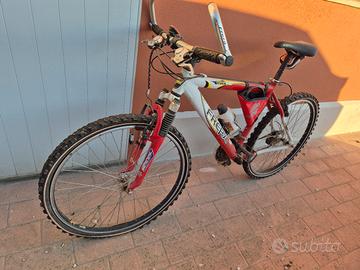 bici mountan biche