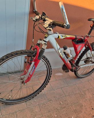 bici mountan biche