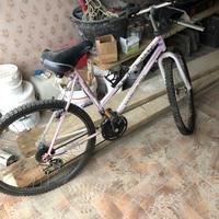 Bici