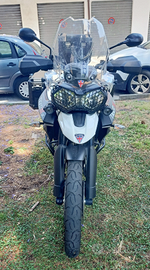 Triumph Tiger 800 XCX
