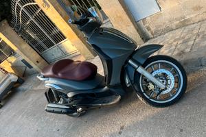 Beverly 500cc 29kw gommato/variatore -206