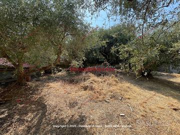 Terreno, Capo d'Orlando.