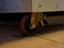 Immagine 5