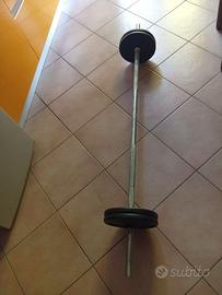Bilanciere con dischi