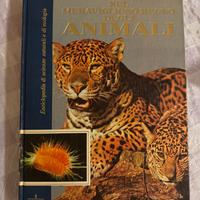 Nel meraviglioso regno degli animali