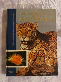 Nel meraviglioso regno degli animali