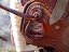 Immagine 2