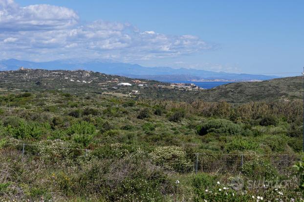 Terreno Agricolo - Santa Teresa Gallura