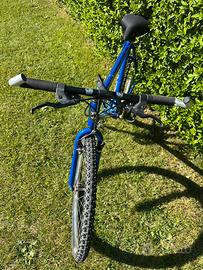 Mountain bike