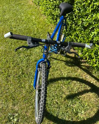 Mountain bike