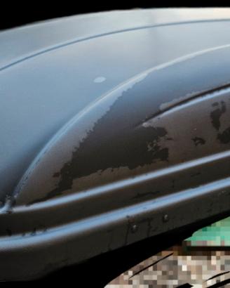 Baule da Tetto Menabò 320L - perfetto per  viaggi