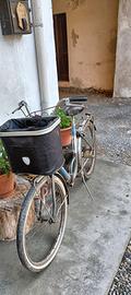 bicicletta da donna 