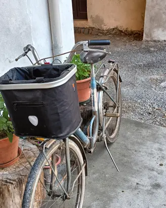 bicicletta da donna 