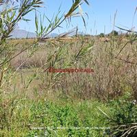 Terreno, Partinico.