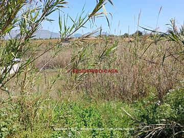 Terreno, Partinico.