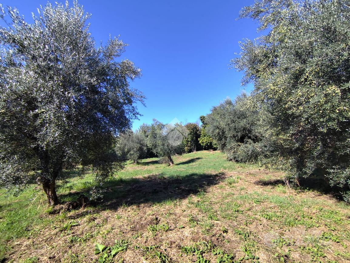 RUSTICO A SUBIACO - Vista 2