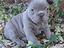 Immagine 16