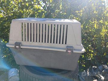 box x trasporto animali