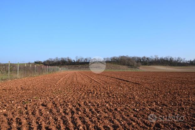 TER. RESIDENZIALE A VOLTA MANTOVANA