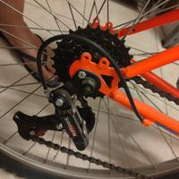 Mountain bike FREJUS da uomo 