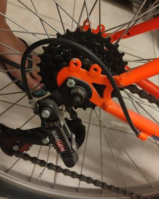 Mountain bike FREJUS da uomo 