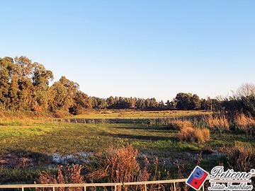 Terreno agricolo - Fondi