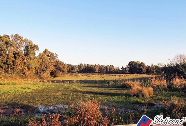 Terreno agricolo - Fondi