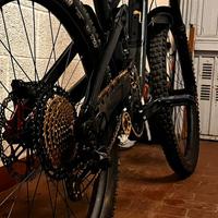 Trek slash Gen.8 2024