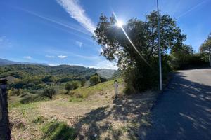 TER. AGRICOLO A GIUNGANO