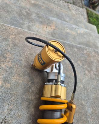 Ohlins