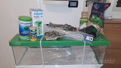 N.2 tartarughe con acquario completo