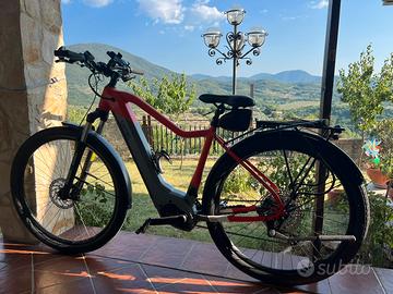 Bici elettrica