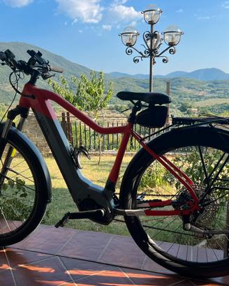 Bici elettrica